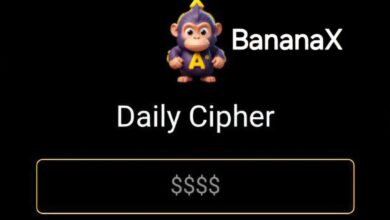 BananaX Daily Cipher