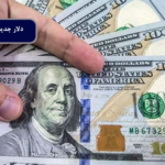 دلار جدید چه رنگی است؟