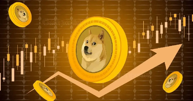 شرط 145 میلیون دلاری نهنگ DOGE: تحولی بزرگ برای آینده Dogecoin!